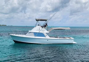 Private Snorkeling or Fishing from Nassau - 31ft Sitting Pretty