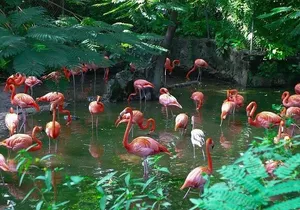 Private Beach Day/Guided TourThrough New Providence Island