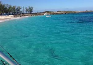 Half Day Snorkeling Tour in the Bahamas