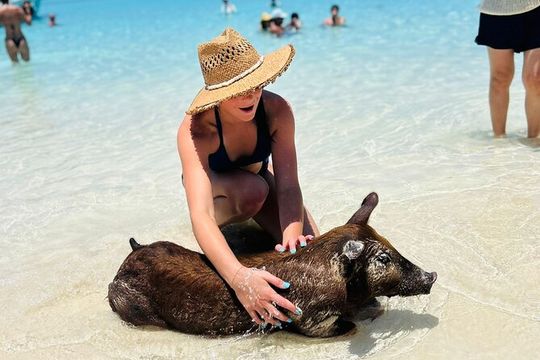 Half Day - ALL INCLUSIVE Pigs, Turtles, Snorkel & Lunch