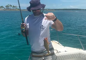 4-Hour Fishing Charter in Nassau