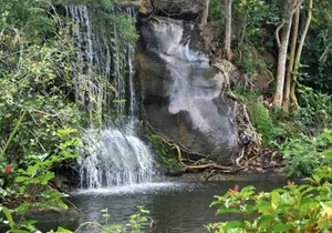 Freeport Shore Excursion: Garden of the Groves and City Tour