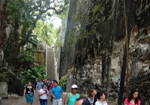 Taste the Real NASSAU flavours