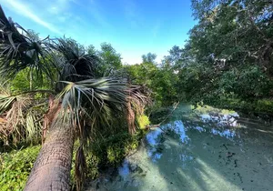 Florida paddle excursions