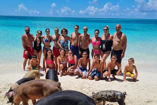 Athol Island Swimming Pigs Half-Day Boat Tour with Lunch