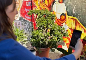 Private Immersive History Tours California Migration Museum