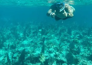 Turtle Swim & Rose Island Adventure