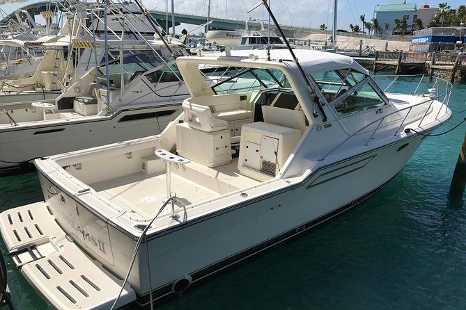 4 hours 38ft Reel Dreams Private Charter in Nassau