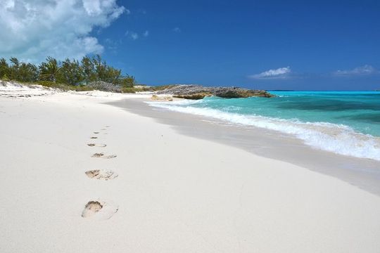 38ft Reel Dreams Private Charter in Nassau