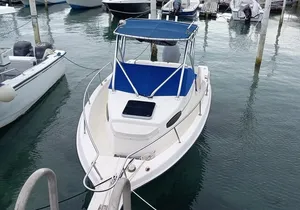 Snorkeling, Swim with Turtles & Beach Day