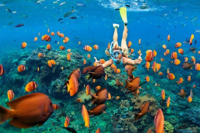 Nassau Sail and Snorkel with 1-Hour Open Tropical Bar
