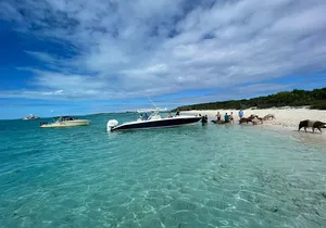 Boat Charters & Excursions