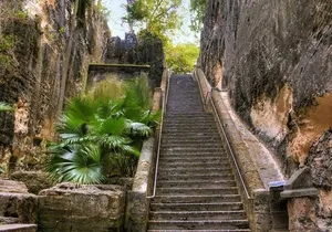 Private Guided Island Tour in Nassau Bahamas -Free Wifi & Drinks