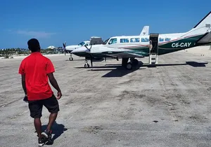 HALF DAY Swiming Pigs and Sharks Tour (Nassau to Exuma by Plane)