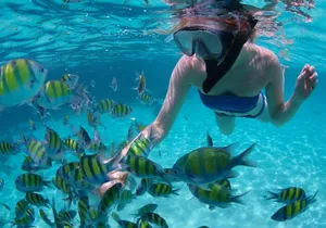 Freeport Snorkeling Peterson Cay National Park and Hotel Day Pass