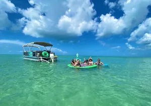 4 Hour Dolphin and Sandbar Cruise
