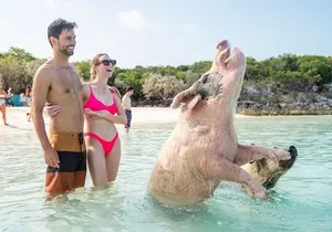 Exuma Elite Escape: Luxury Fly-In Pig Beach Adventure - 7 Stops