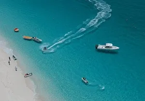 Bus for a Day (Shore Excursion)