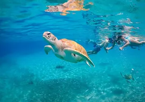 View the Turtles, Rose Island, Gilligan's Island and Fishing Tour