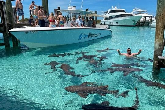 Exuma Island Hopping Swimming Pigs Tour with Lunch from Nassau