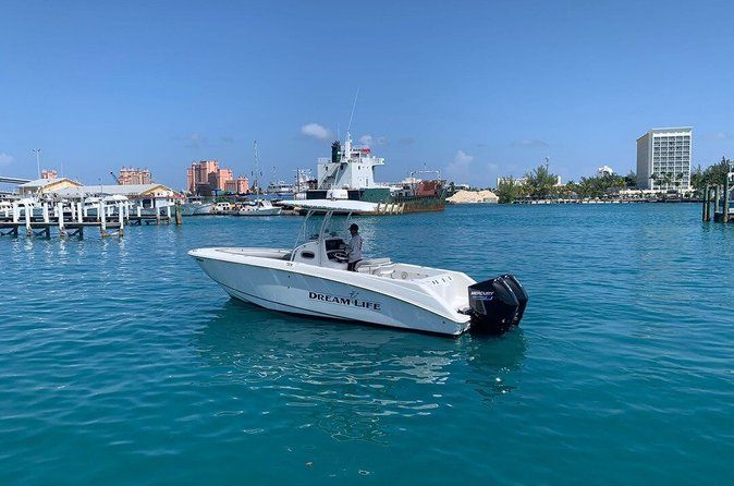 27ft Dream Life Private Charter in Nassau
