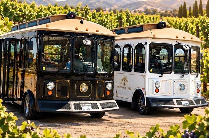 Temecula Wine Tour Voted Best!