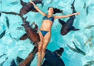 Exuma Island Hopping Swimming Pigs Tour with Lunch from Nassau