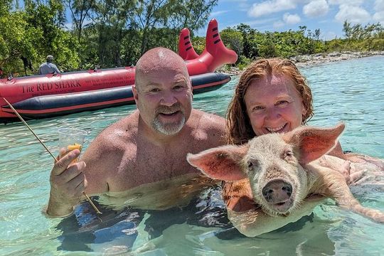 Private Swim With Pigs and Snorkeling in Paradise Tour