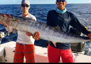 Half day Deep sea/light tackle fishing charters