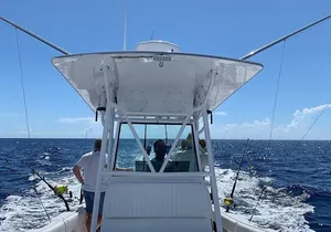 3/4 day deep sea /light tackle fishing