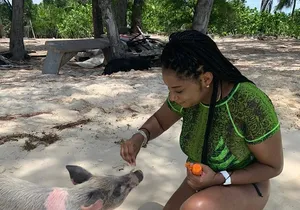 Ultimate SeaXscape Pigs/Turtles/Snorkel/Lunch/Drinks/PU/DO