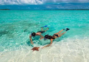 Sail & Snorkel Adventure with 1 Hr. Open Bar