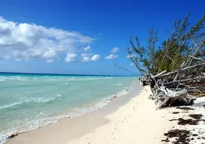 East End Private Day Trip Experience Tour