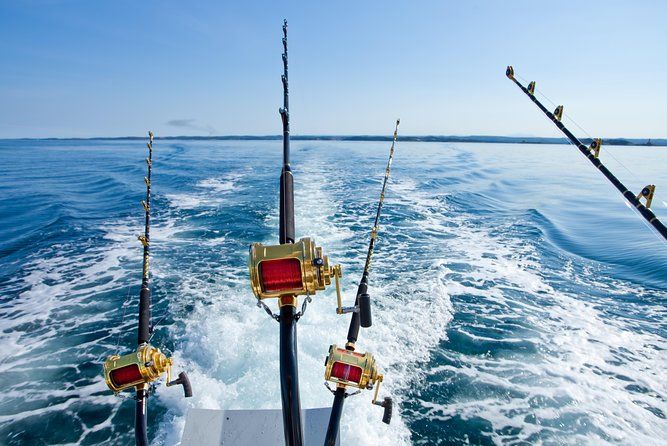 Guided 8 HR Full Day Fishing / Snorkel Private Charter Trip 40' Mega Bite