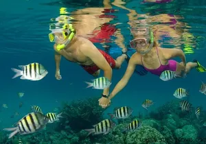 Nassau Shore Excursion: Bahamas Snorkel Adventure