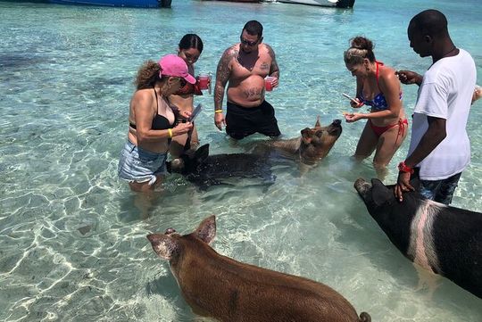 Swimming Pigs Half Day Charter on Cruisin Tiki Bar Boat 8 persons