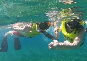 Small-Group Snorkeling Experience at Sea Garden