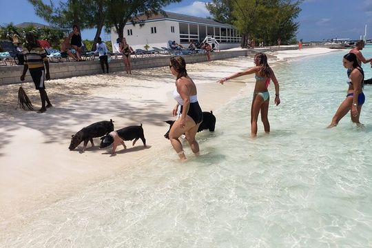 Rose Island: Private Snorkeling, Fishing, and Swimming with Pigs