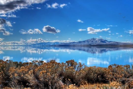 Great Salt Lake and Antelope Island Day Tour