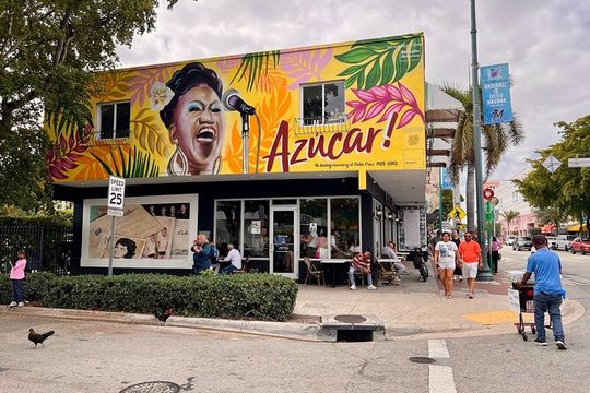 Miami City Tour in Spanish : Local Guide and Attractions