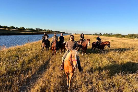 Horse Riding in Miami's Countryside