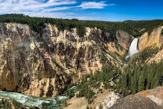 Private Yellowstone Highlights Tour