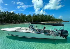 Private 4-Hour Rose Island charter Snorkeling Turtles & Beaching