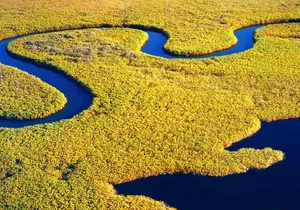 2 Hours Dolphin Eco Tour