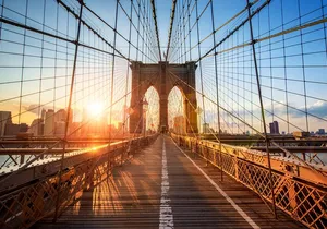 Top 10 Attractions of New York City Full-Day Tour by Car