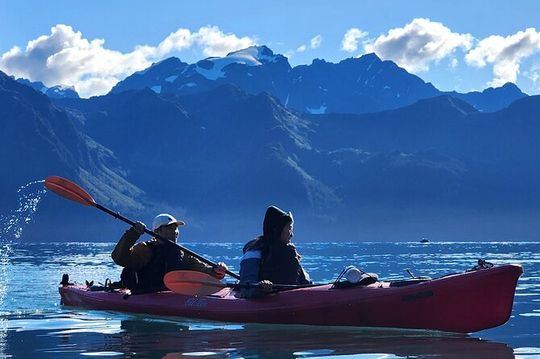 Tonsina Point Kayak in Resurrection Bay