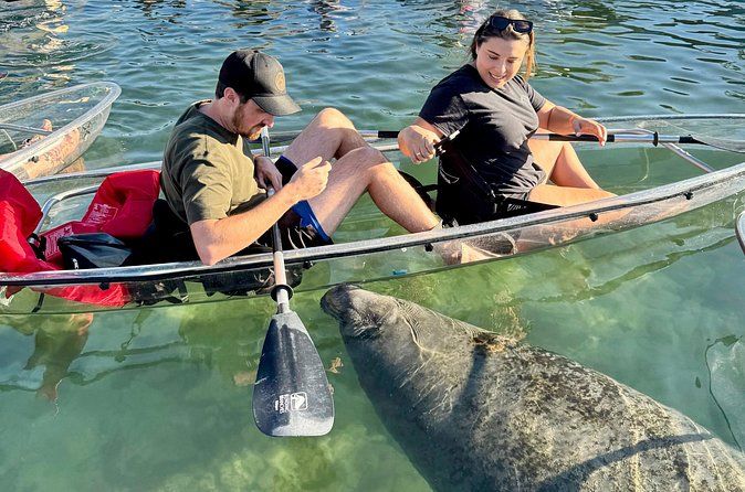 Crystal River: Three Sisters Manatee Clear Kayak Tour Free Photos