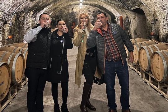 6 Hours Private 6 passenger SUV for Napa or Sonoma Wine Tours