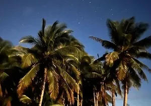 Private Guided Stargazing with BYO Barbecue in Olowalu