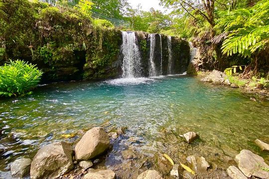 Full Day Private Road Tour to Hana